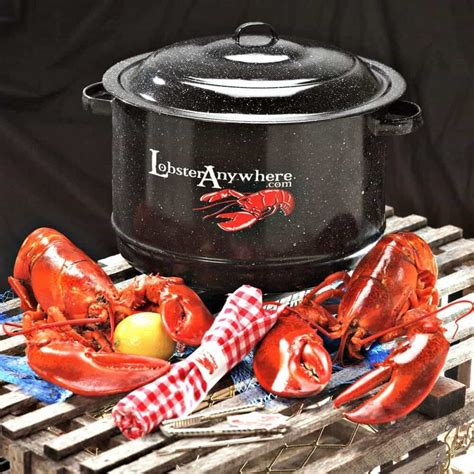 lobster potn